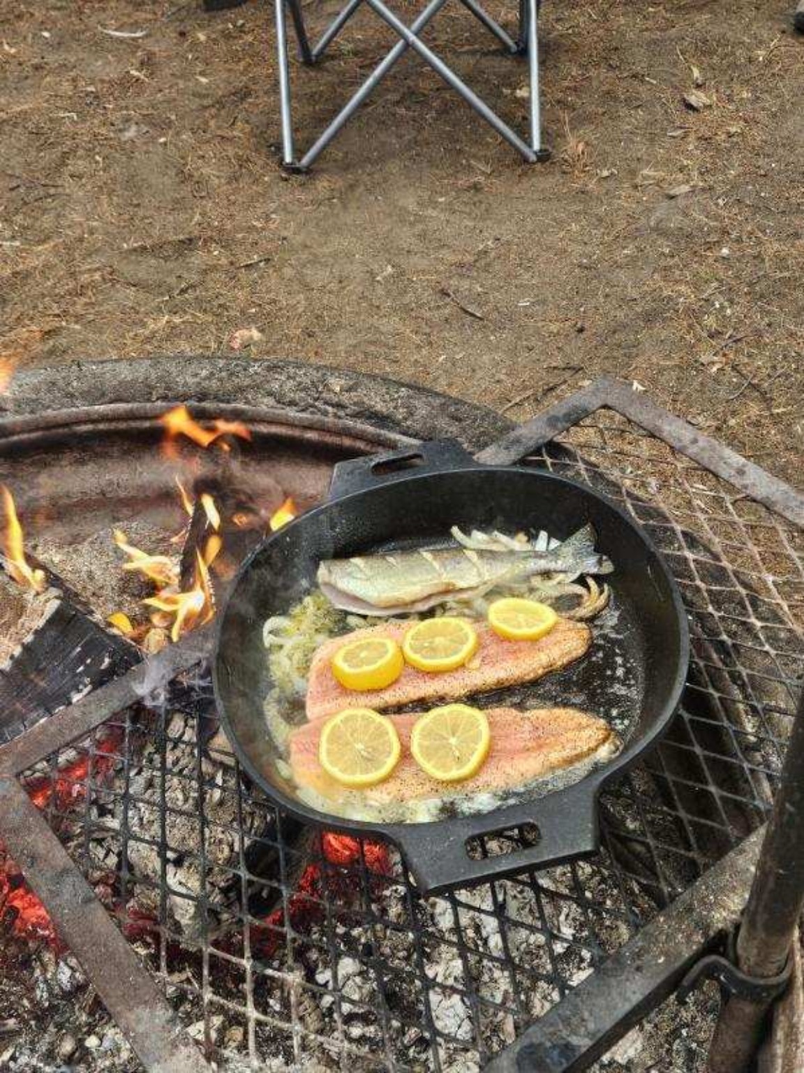 Fresh fish with lemon cooking over the campfire
